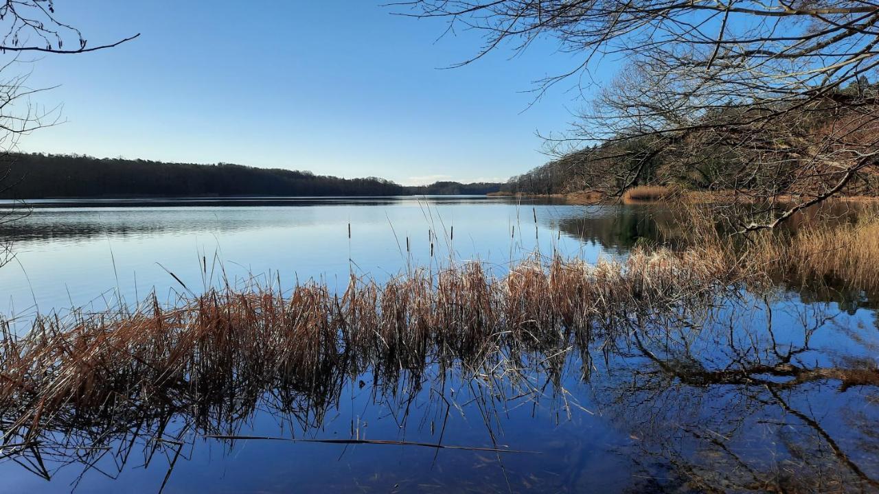 Vierseitenhof Hasenfelde - Ferienwohnung Feldblick Steinhofel Esterno foto