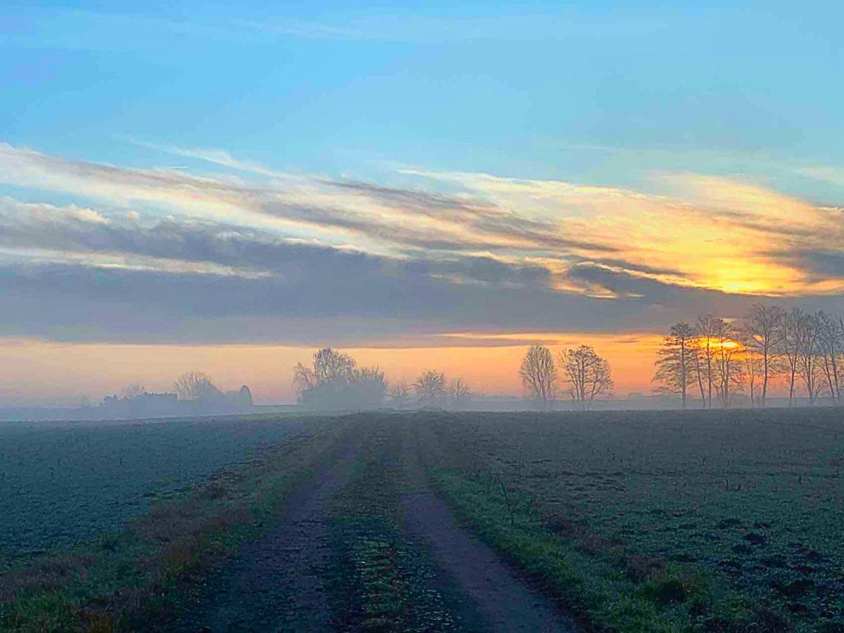 Vierseitenhof Hasenfelde - Ferienwohnung Feldblick Steinhofel Esterno foto