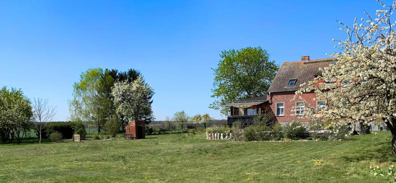 Vierseitenhof Hasenfelde - Ferienwohnung Feldblick Steinhofel Esterno foto