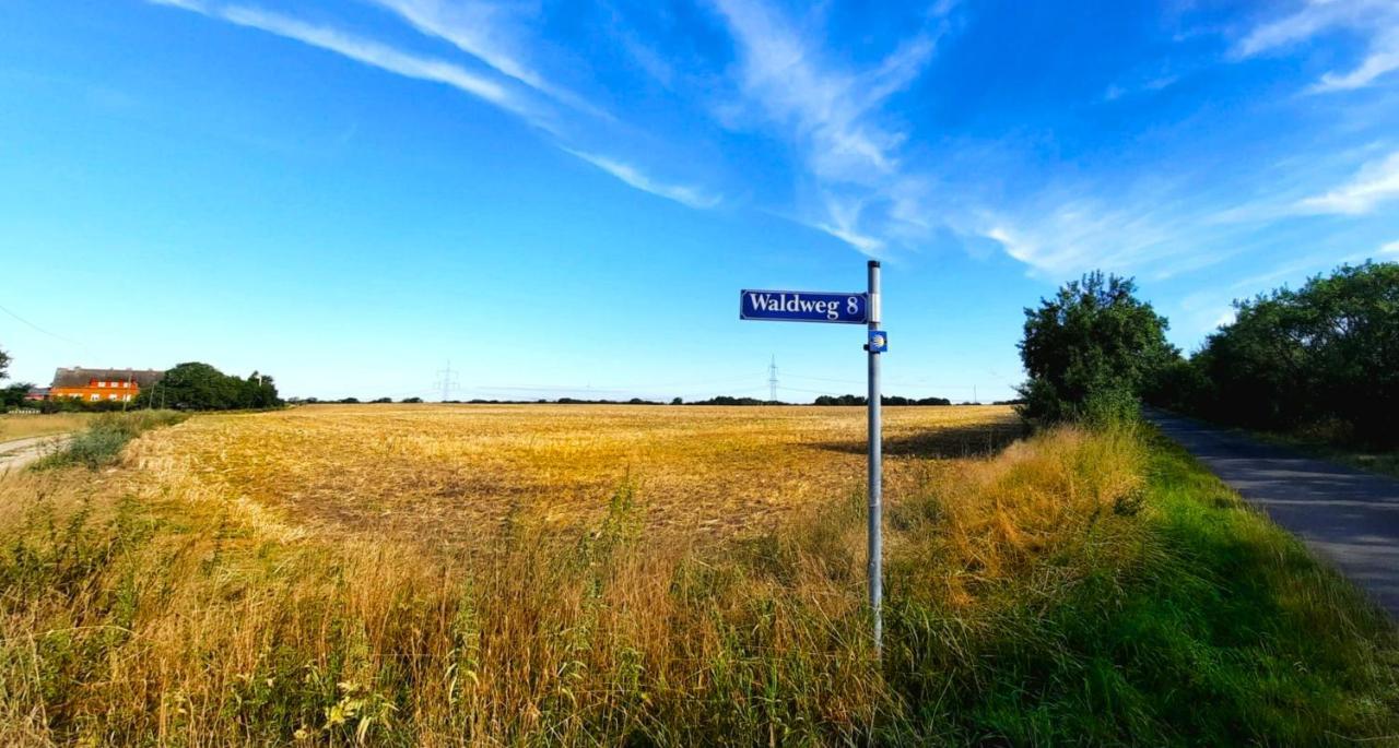Vierseitenhof Hasenfelde - Ferienwohnung Feldblick Steinhofel Esterno foto