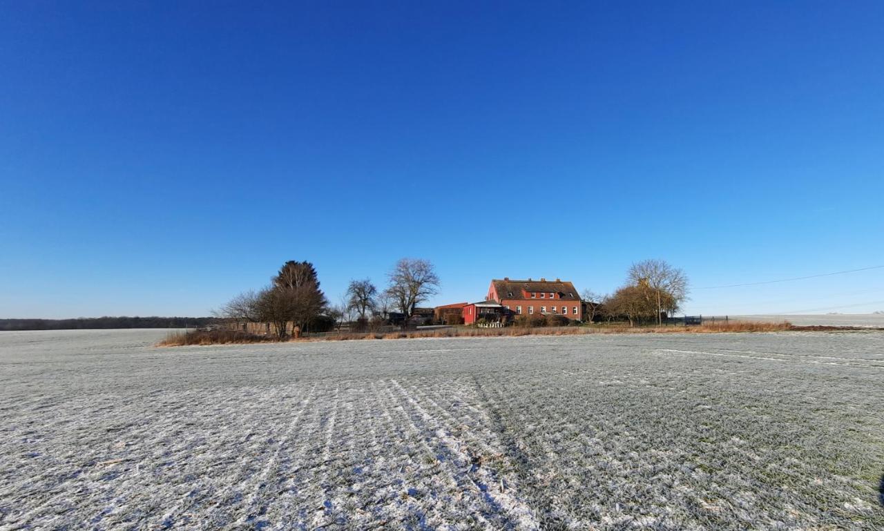 Vierseitenhof Hasenfelde - Ferienwohnung Feldblick Steinhofel Esterno foto